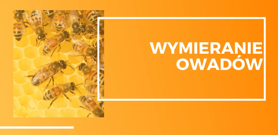 Pszczoły produkują miód.