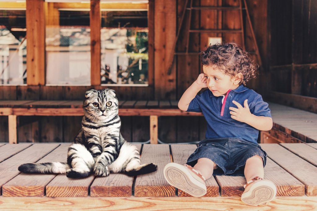Dziecko i kot siedzące na drewnianym tarasie. Symbol zmiany cywilizacyjnej w homo sedentarius.