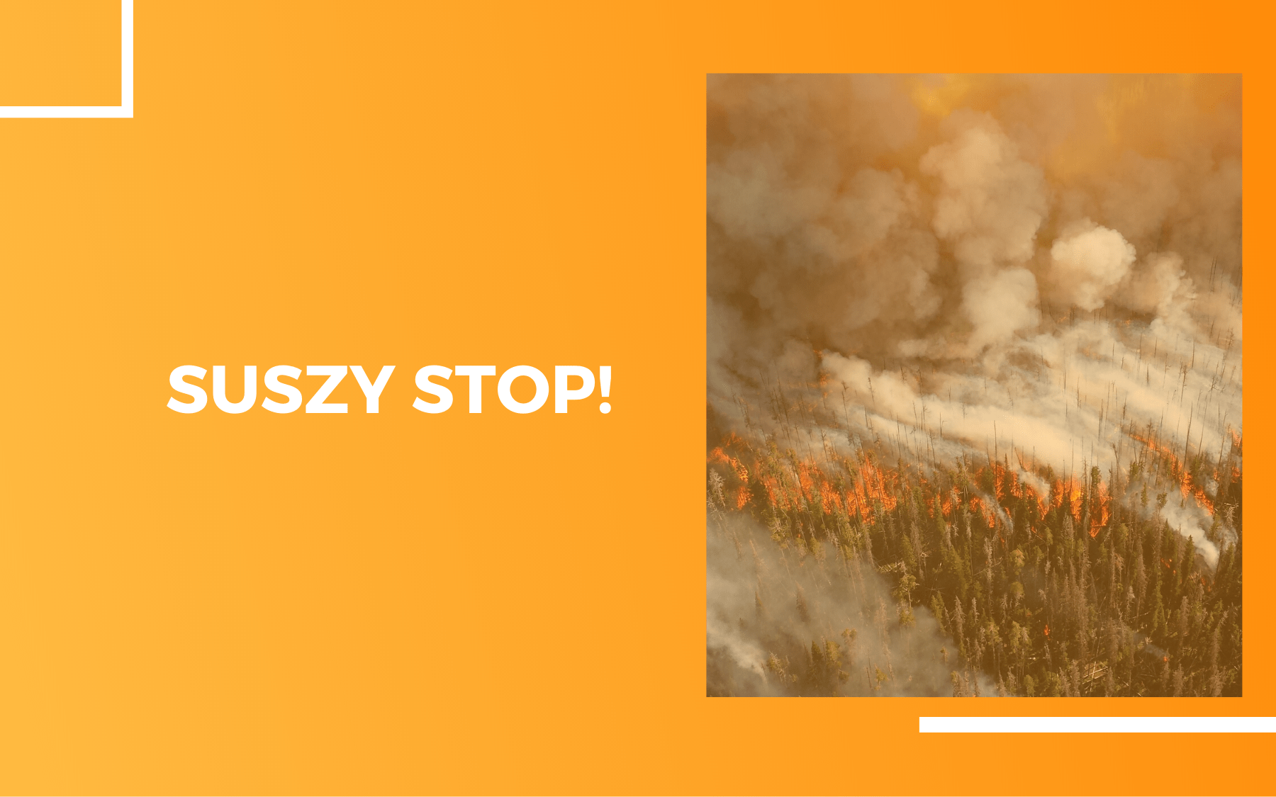 Zdjęcie płonącego lasu widzianego z lotu ptaka. Obok na pomarańczowym tle, w białej ramce napis Suszy stop!
