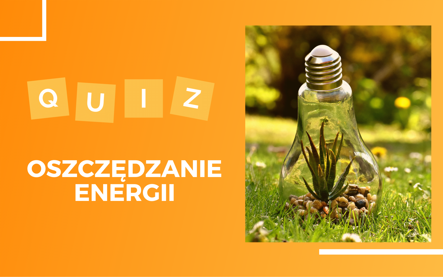Po prawej stronie zdjęcie roślinki rosnącej wewnątrz żarówki umieszczonej na trawie w parku. Po lewej biały napis "Quiz oszczędzanie energii"