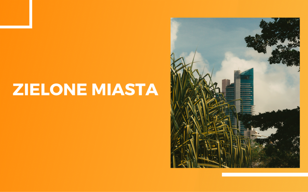 Zielone miasta – wizja lepszej przyszłości