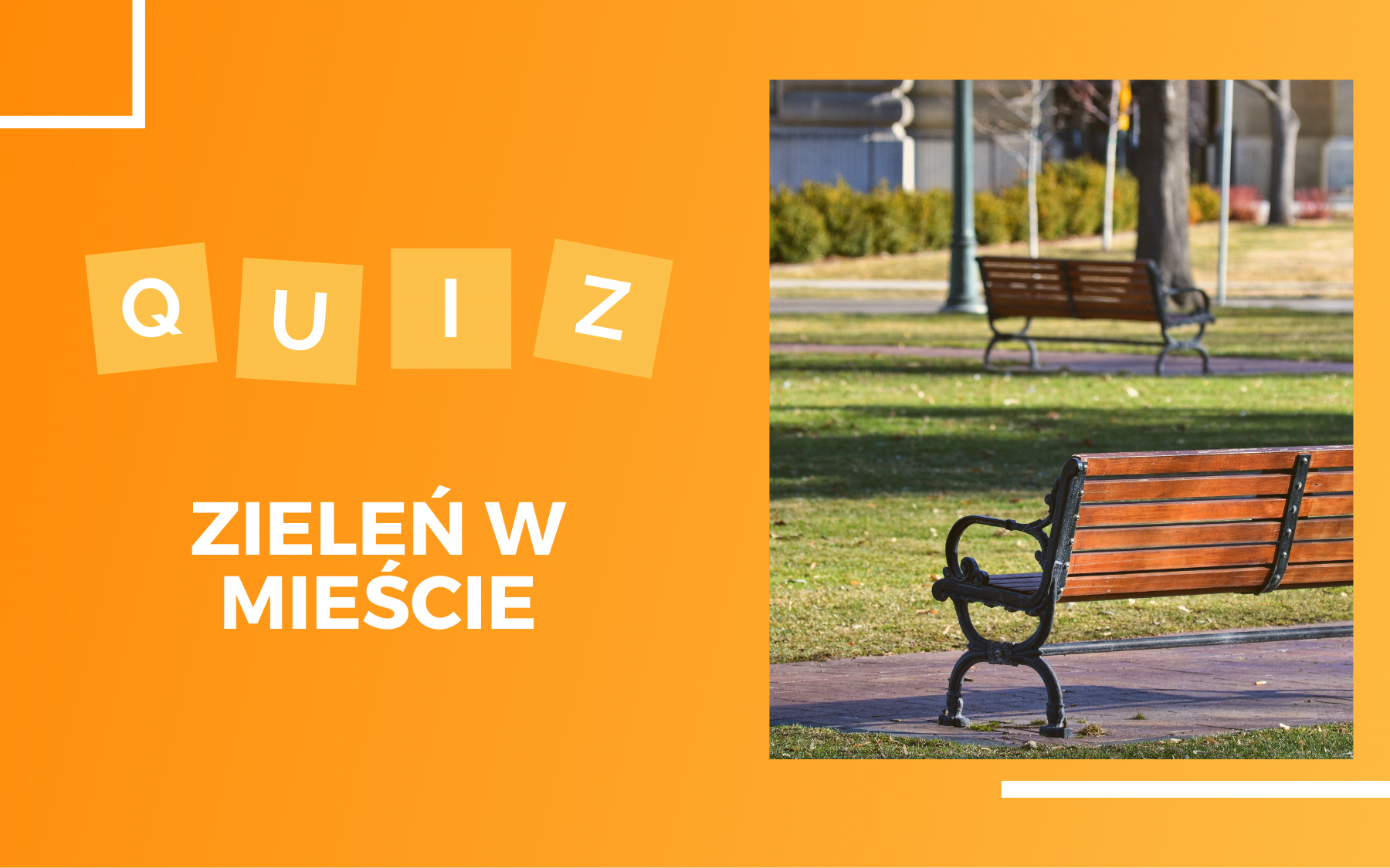Quiz zieleń miejska