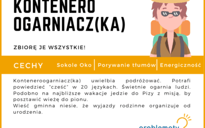 Konteneroogarniacz(ka)